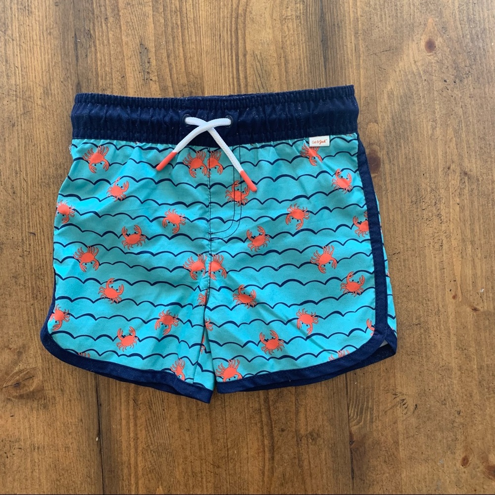 Cat and Jack boys 18 month swimsuit